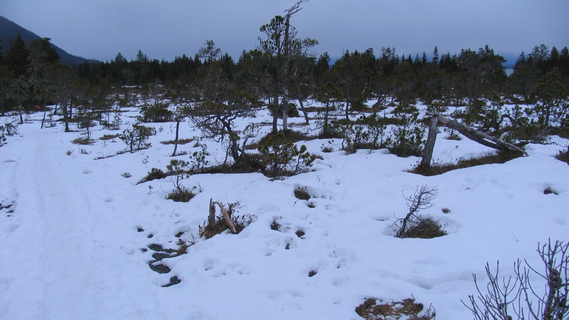 On Hungry Point Trail