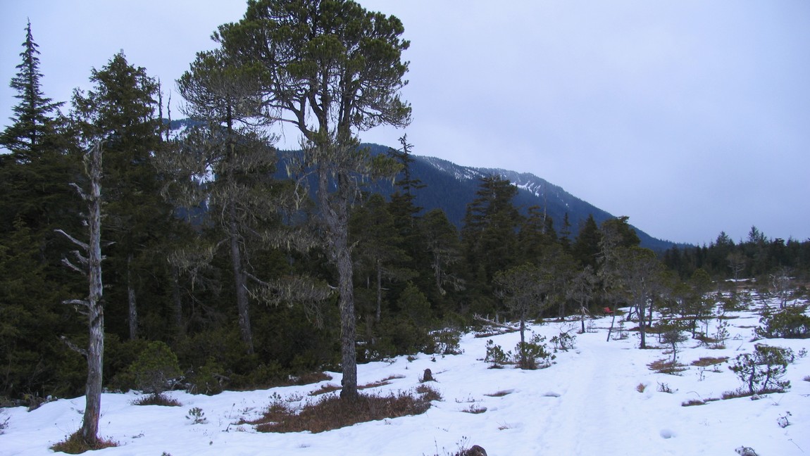 On Hungry Point Trail