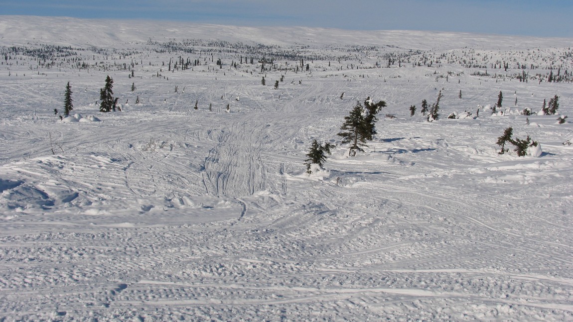 Snowmachine riding area