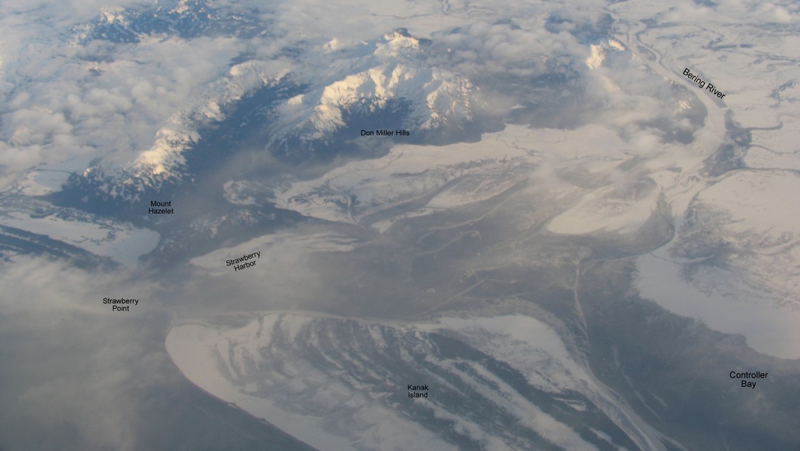 Bering River delta