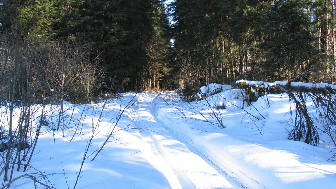 Beginning of the trail