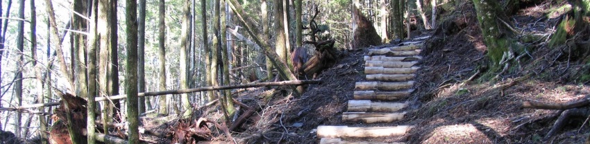 Ketchikan header