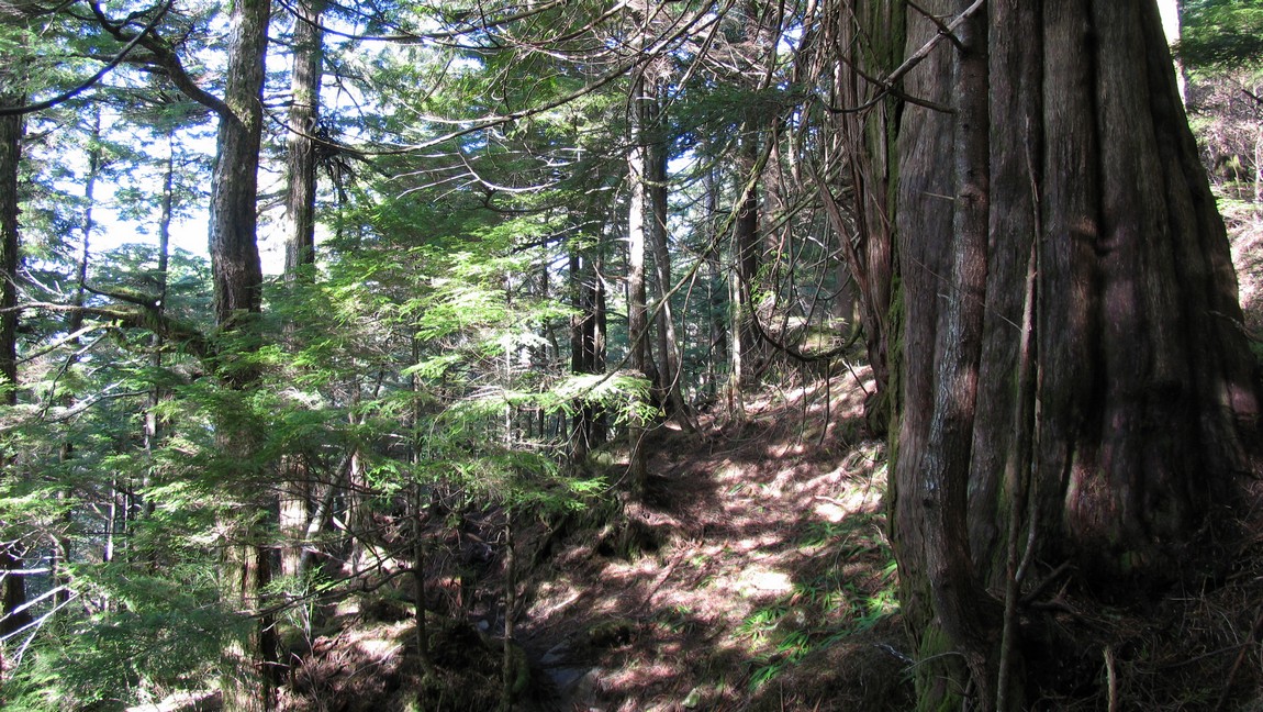 Nice hiking trail