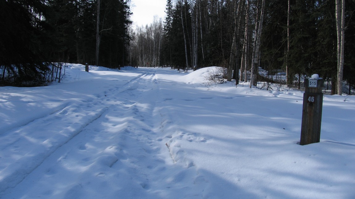 Chena River Campground