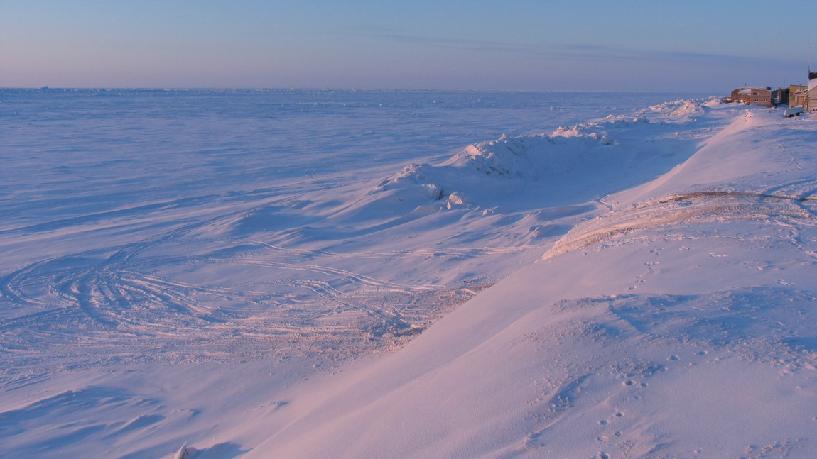 Looking north along the coast
