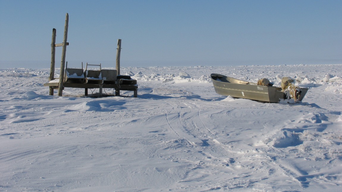 Shore of the Arctic Ocean