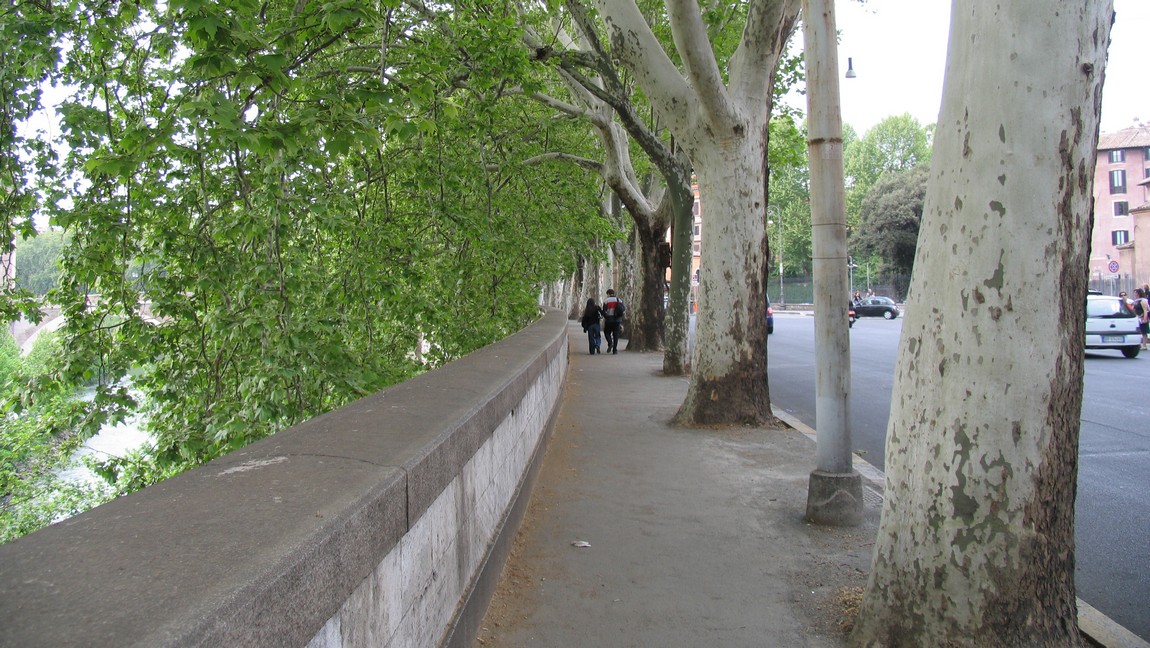 Street next to the Tiber River