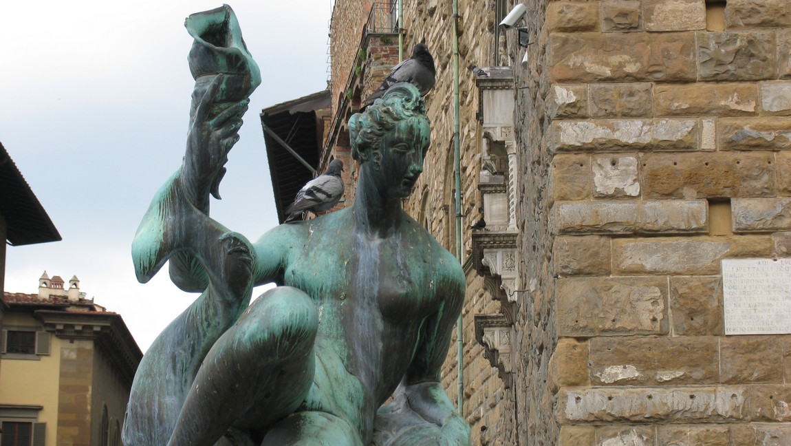 Pigeons admiring the artwork