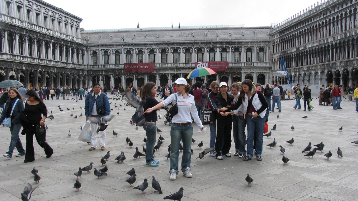 Hand feeding pigeons