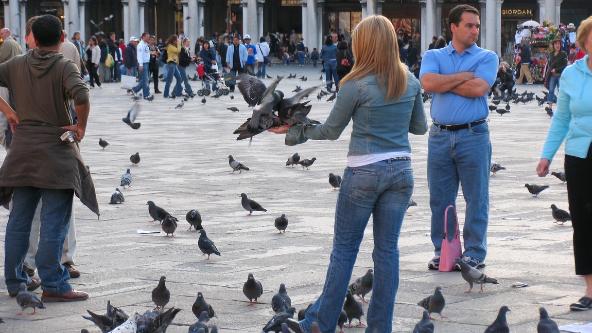 Tourist feeding pigeons