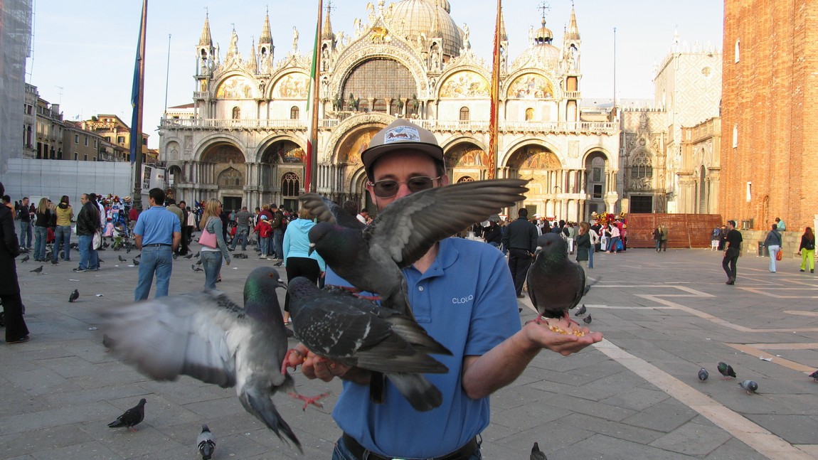 Feeding pigeons