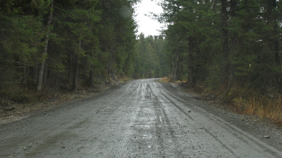 McKinley Lakes area