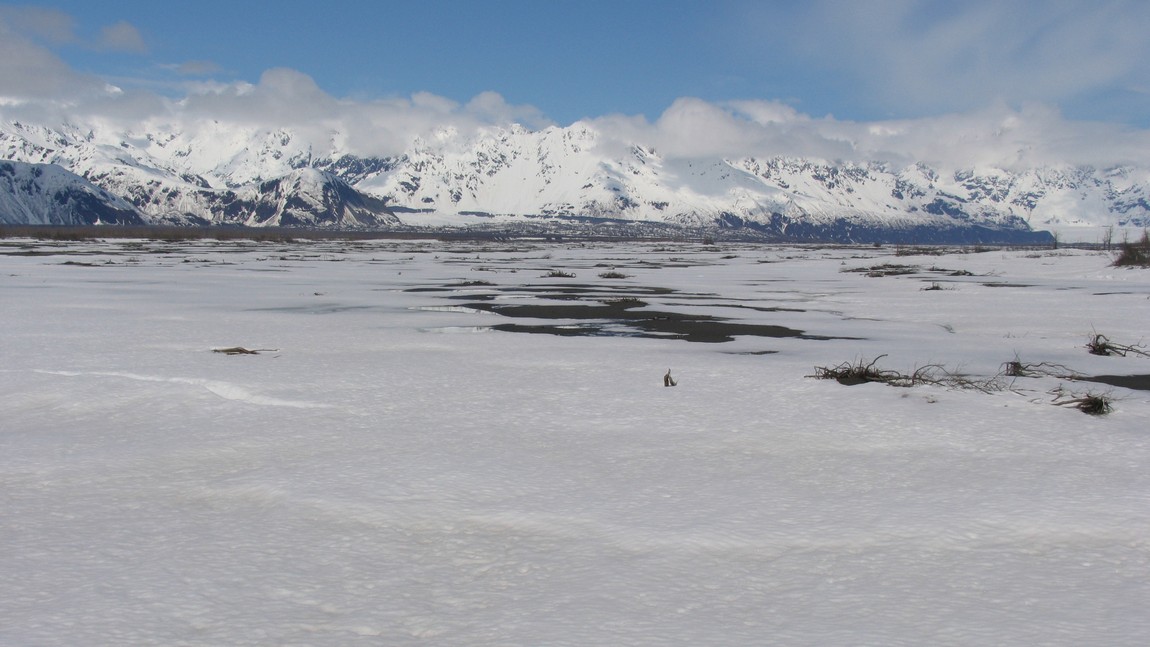 Copper River Delta