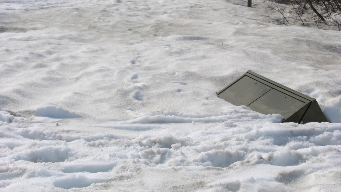 Buried bear proof garbage cans