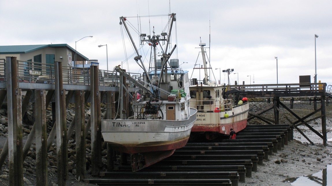 Low tide