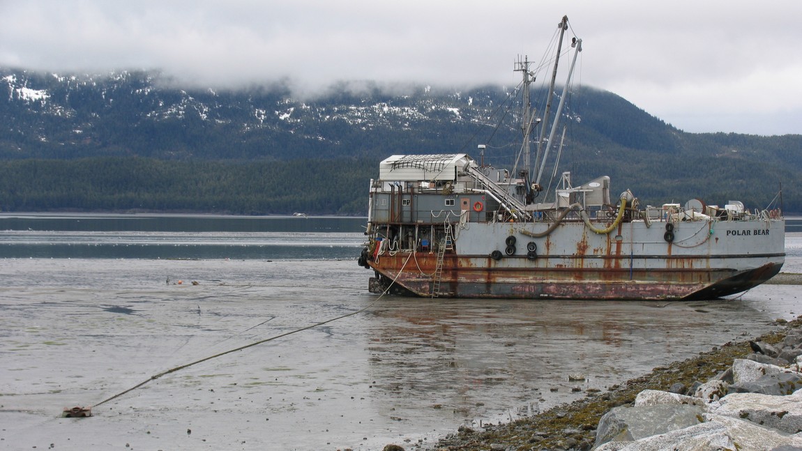 Low tide