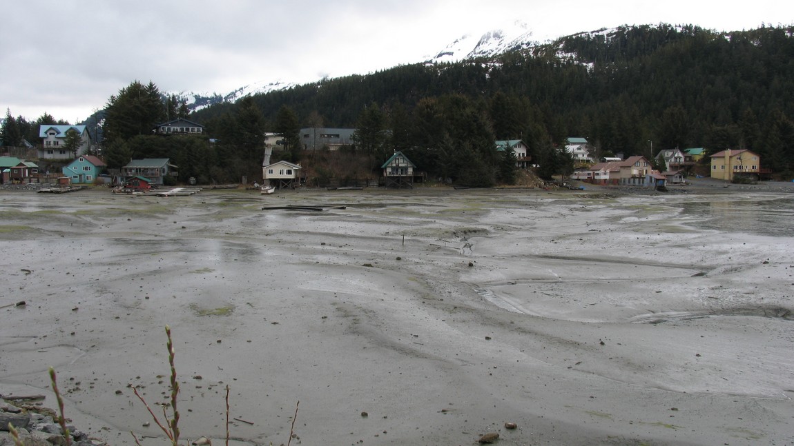 Low tide
