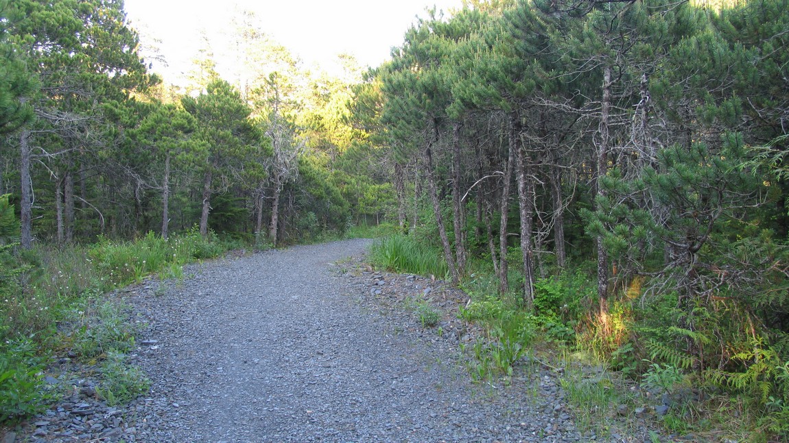 Volunteer Loop Trail