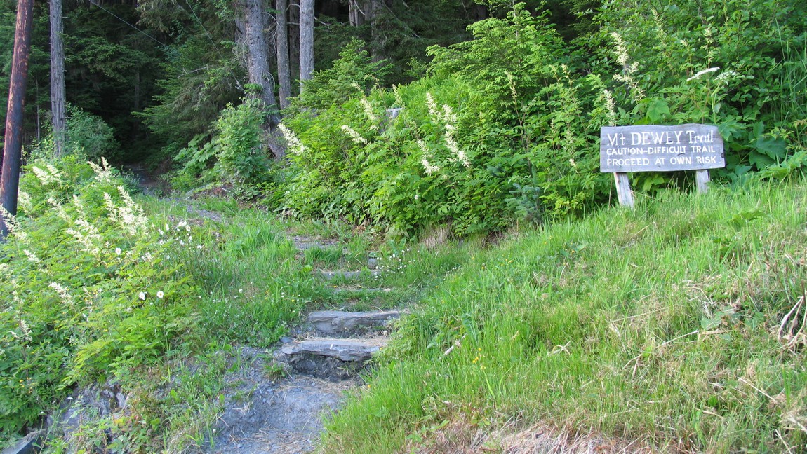 Mount Dewey Trail