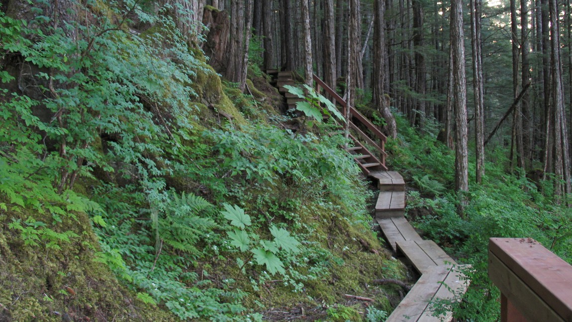 Mount Dewey Trail