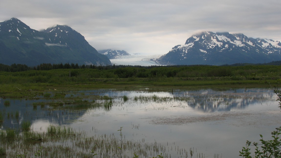 Sheridan Glacier with swans
