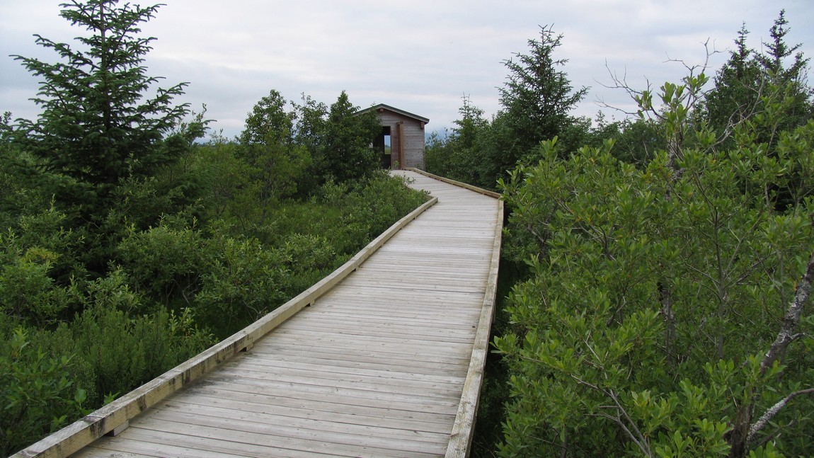 Wildlife viewing area