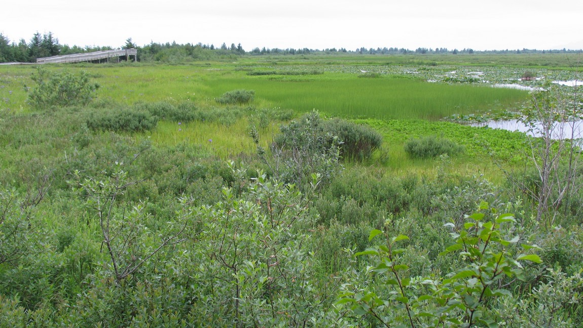 Alaganik Slough
