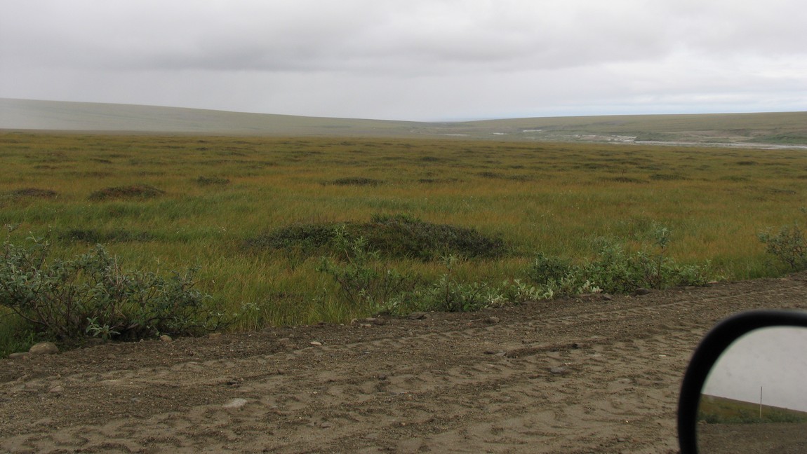 Wooley Lagoon
