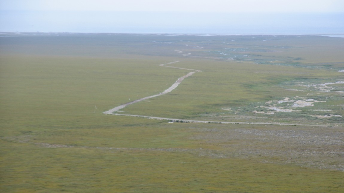 Road to Wooley Lagoon