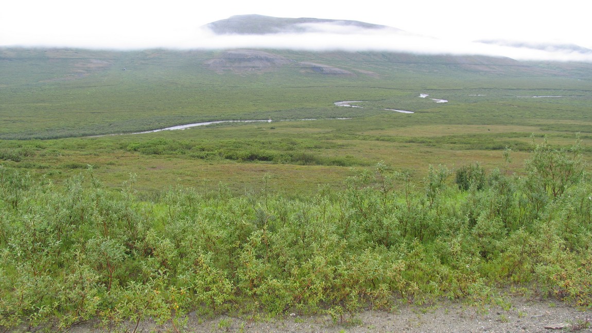 Kougarok Road