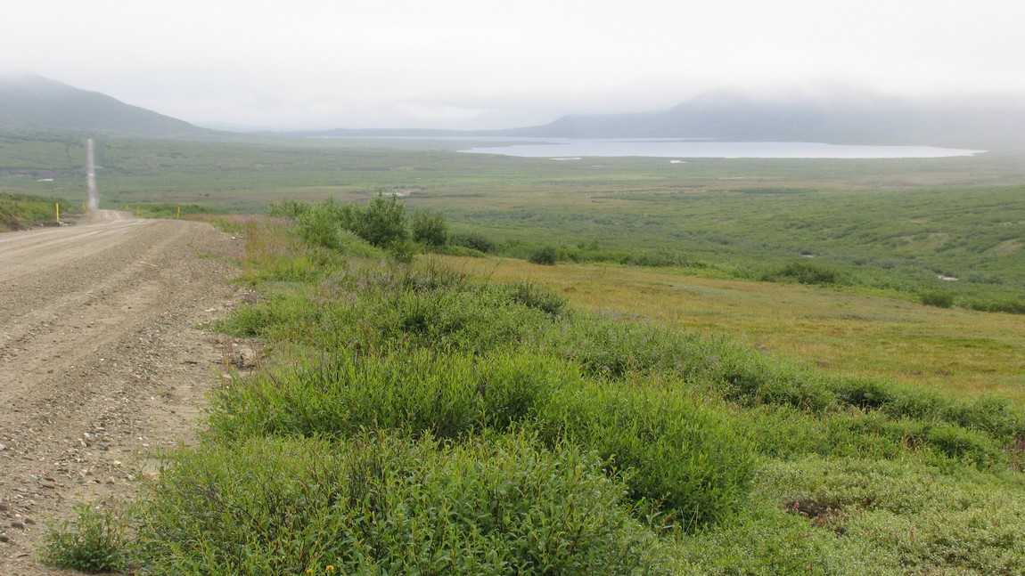 View of Salmon Lake