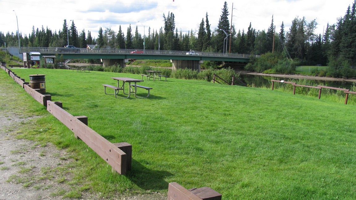 Bank of the Chena River