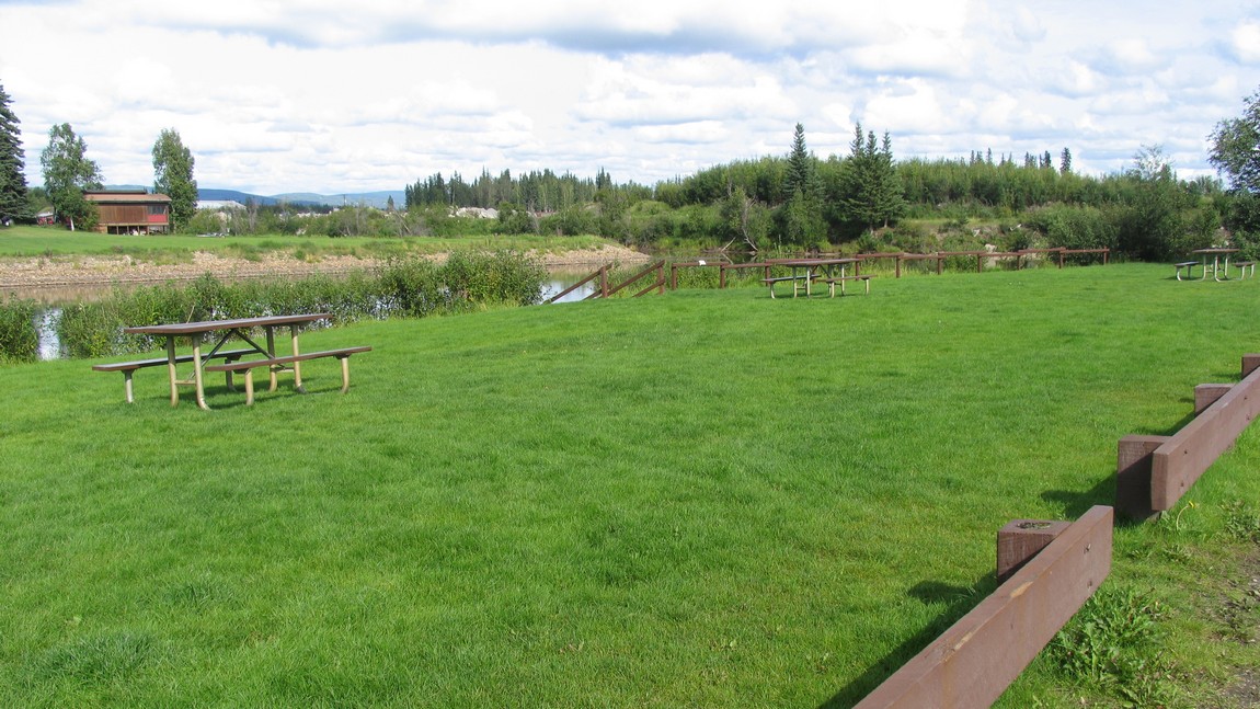 Bank of the Chena River