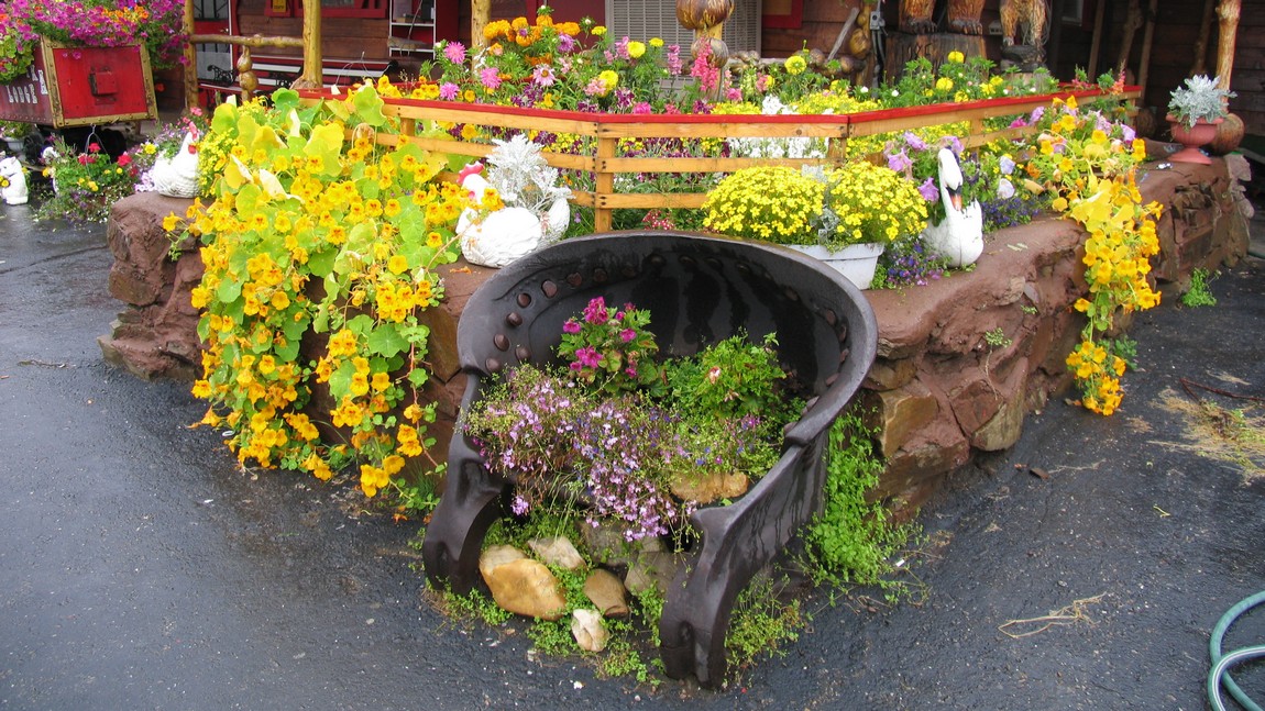 Flowers outside the Chatanika Lodge