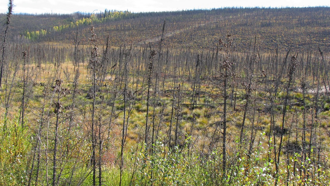 Fire damage