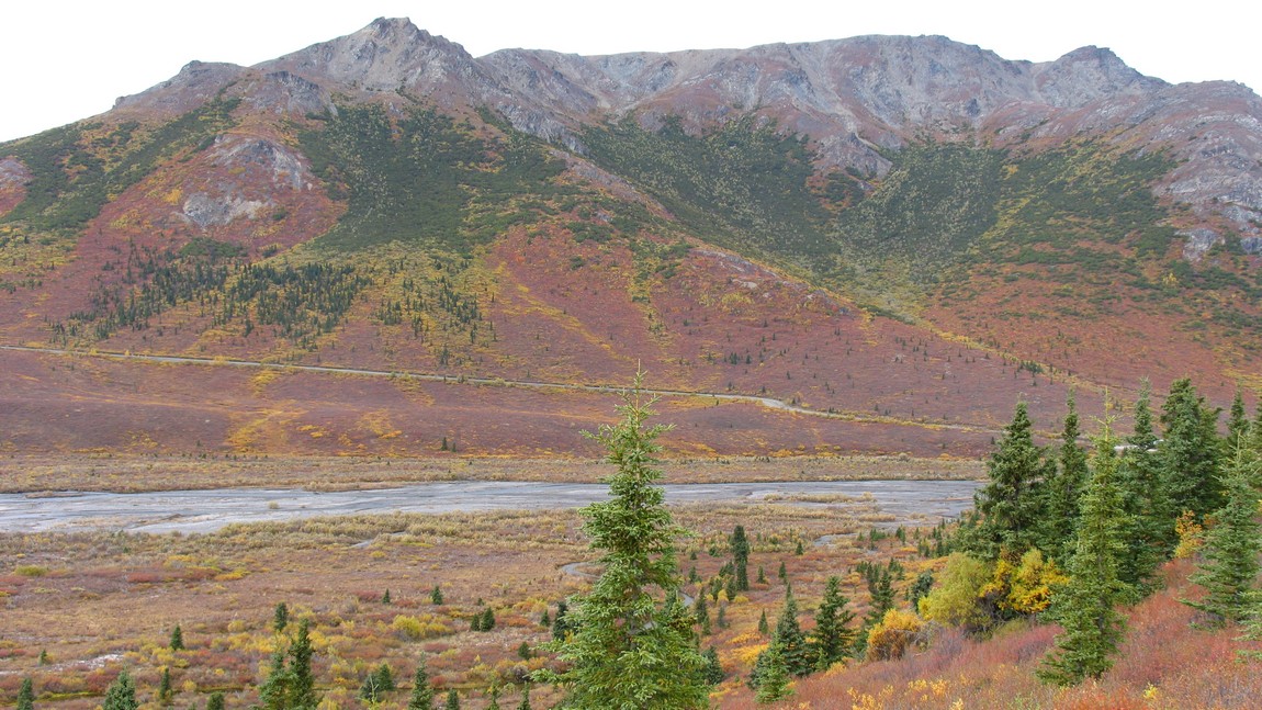 Savage River