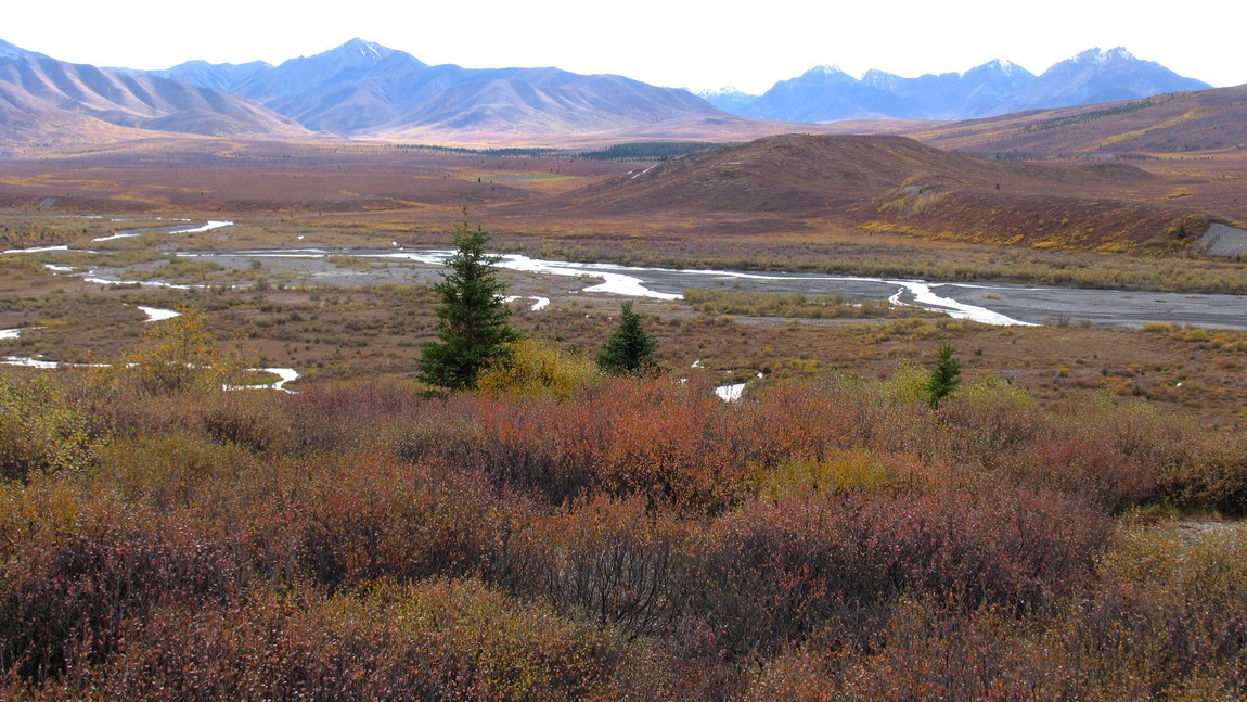 Savage River