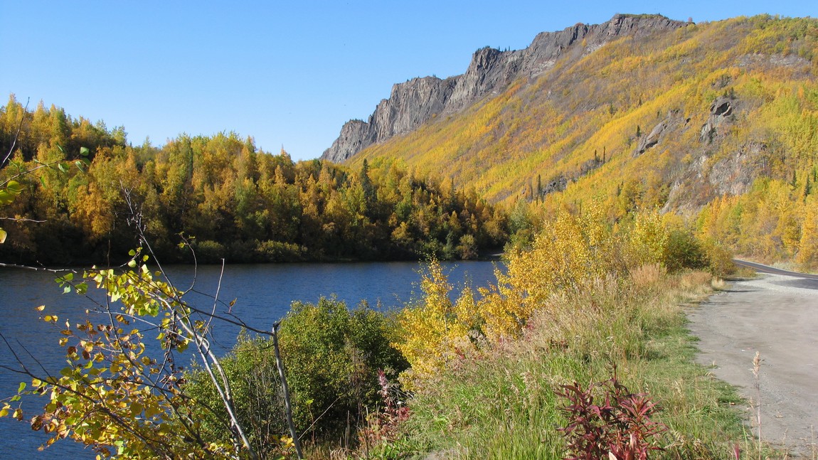 Fall colors near Chickaloon