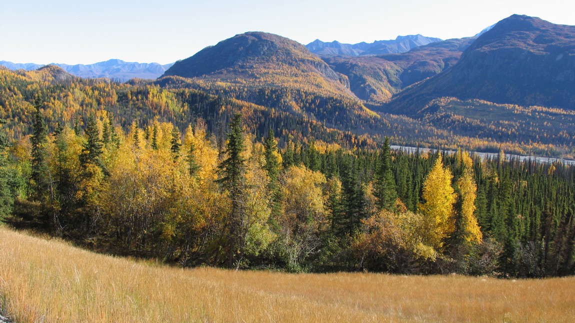 Fall colors near Glacier View