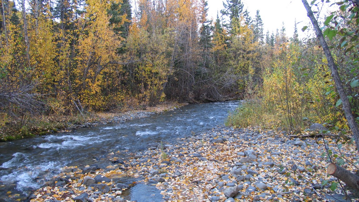 Squirrel Creek