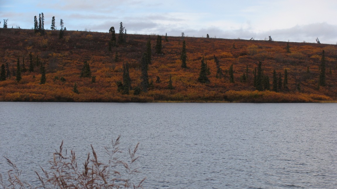 Fall colors near Eureka