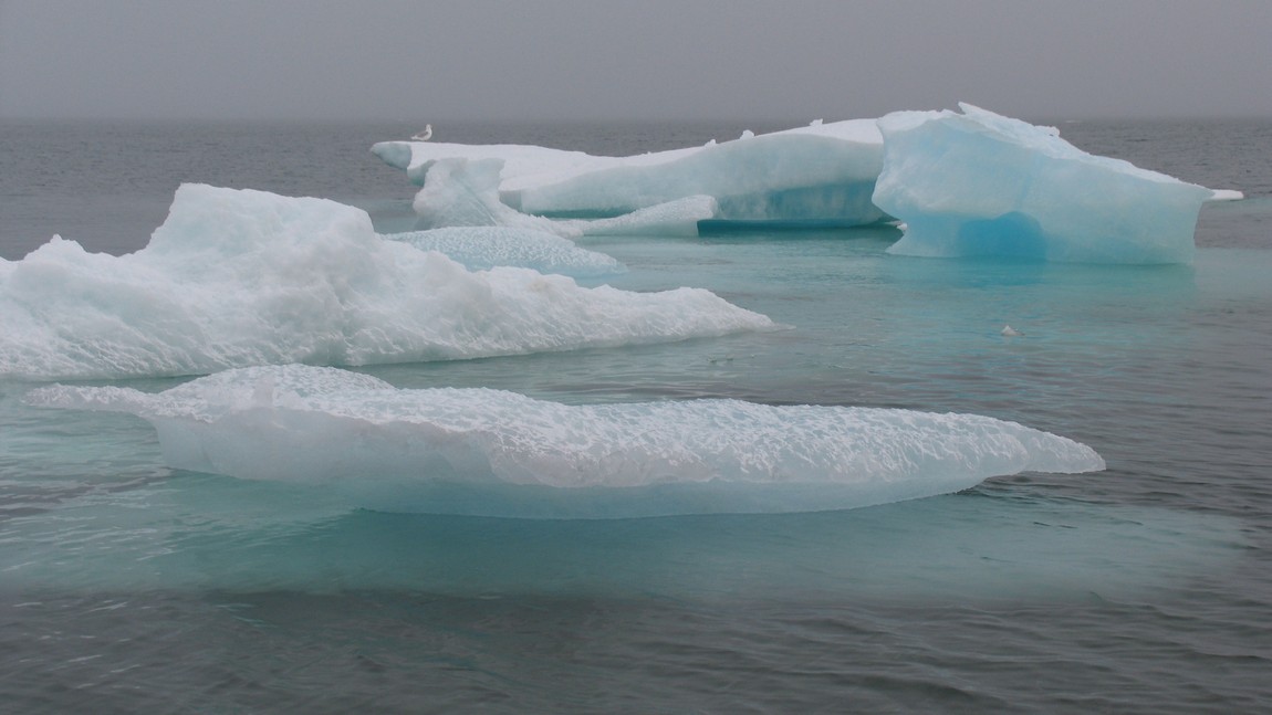 Ice floating in the Arctic Ocean