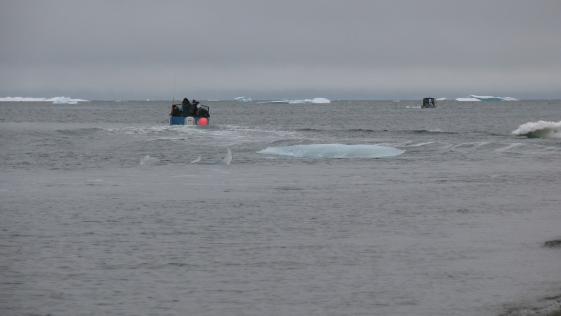 Boats heading out whaling