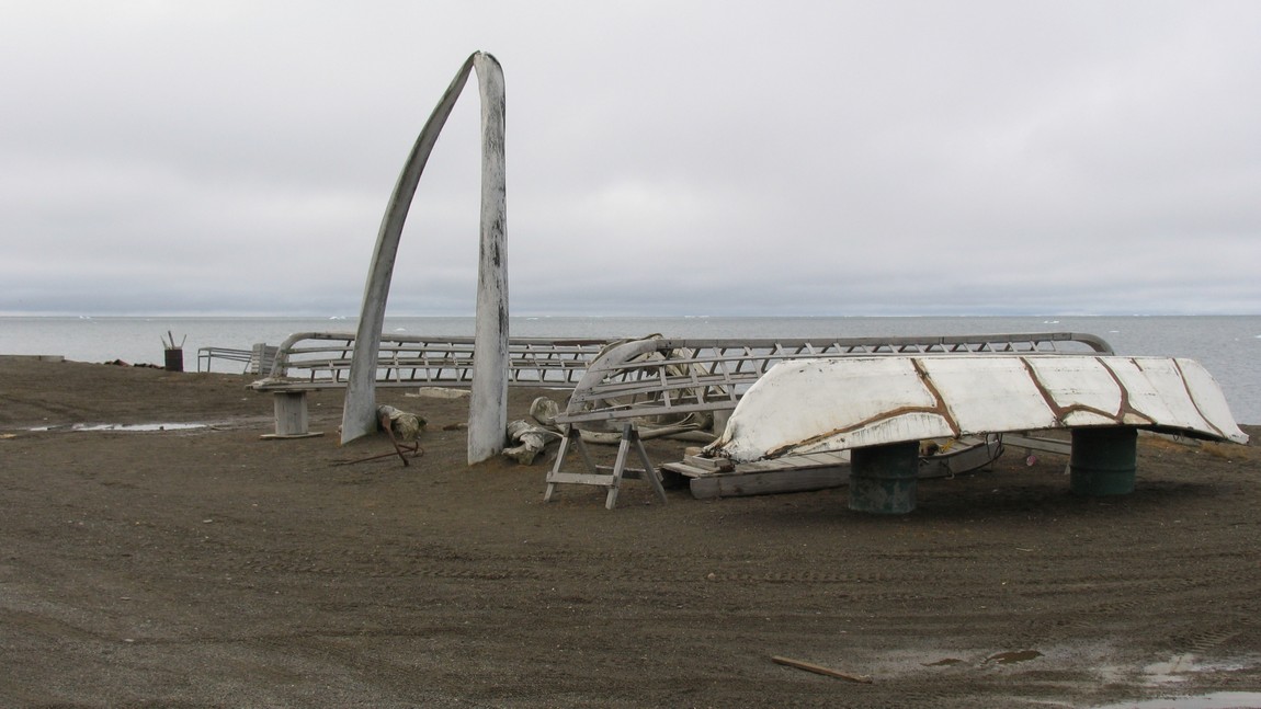 Whaling display