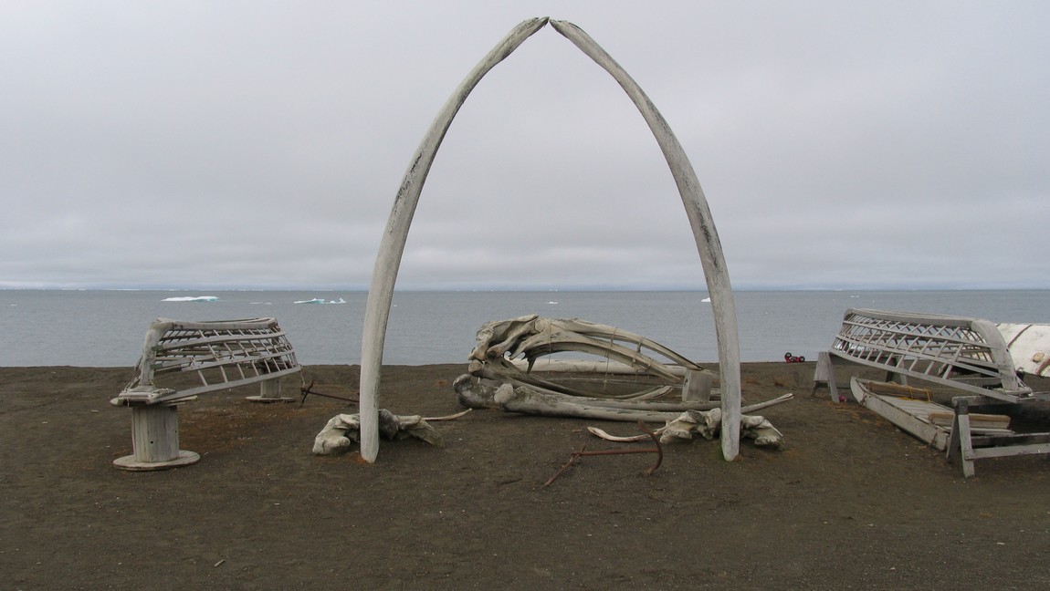 Whaling display