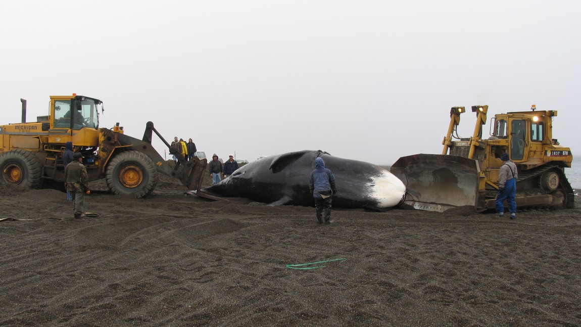 A forklift will be used