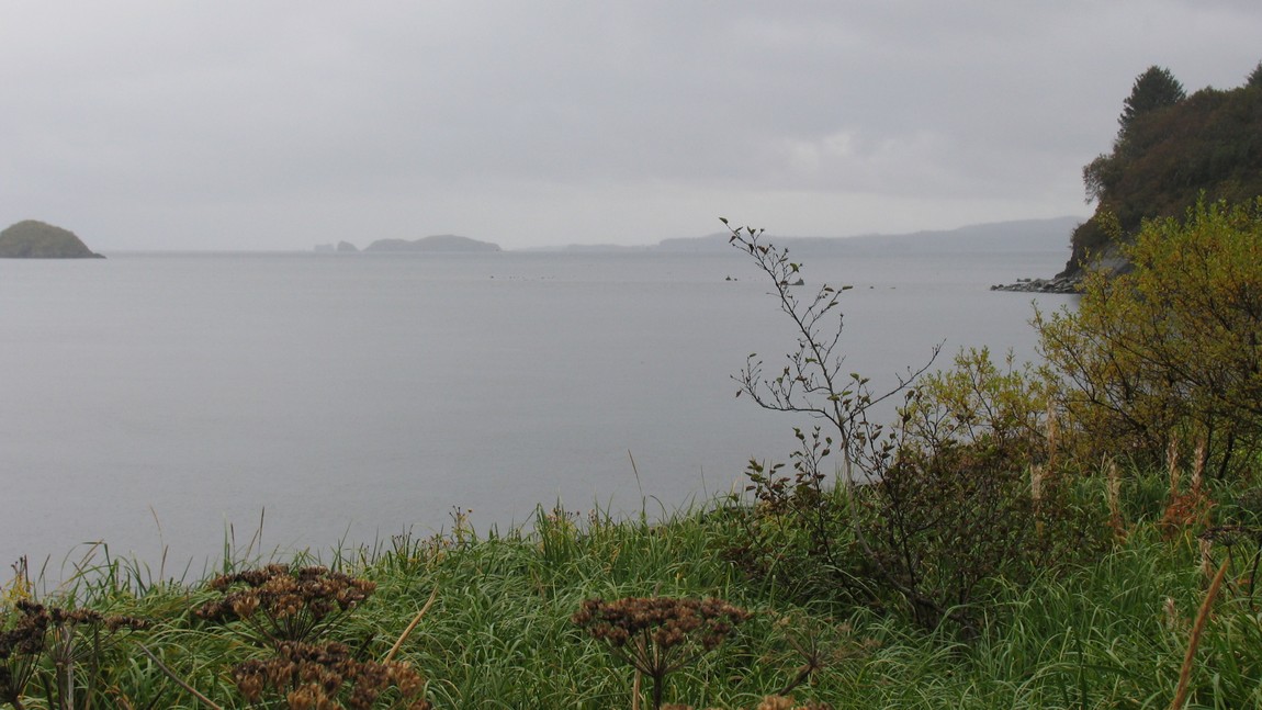 Large bay on Pasagshak Road