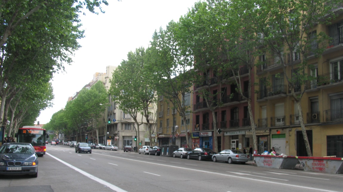 Walking down Paseo de la Reina Cristina street
