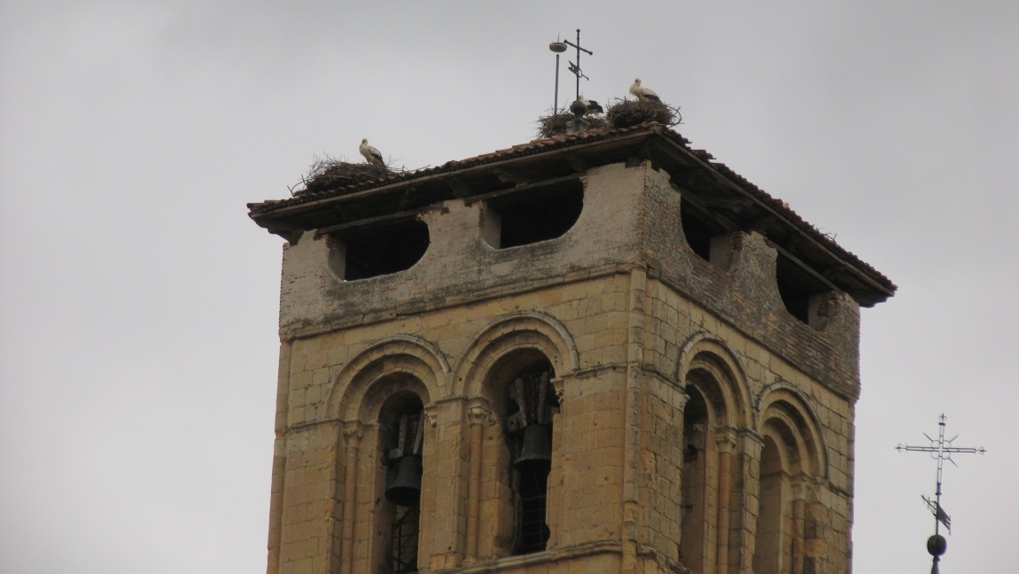 Storks on a bell tower