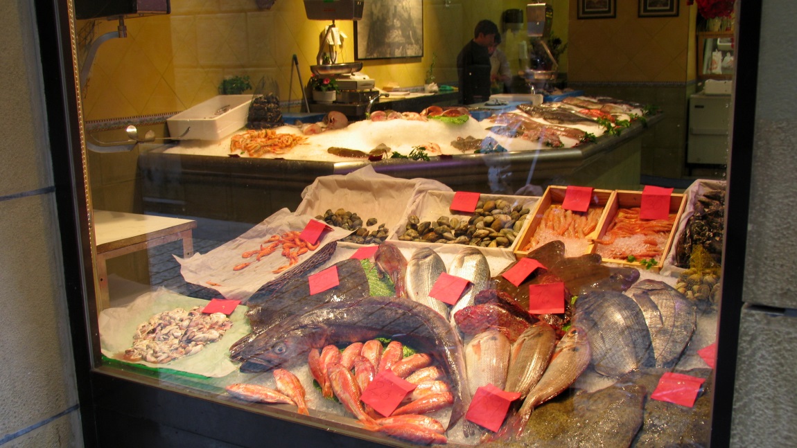 Window shopping a fish store